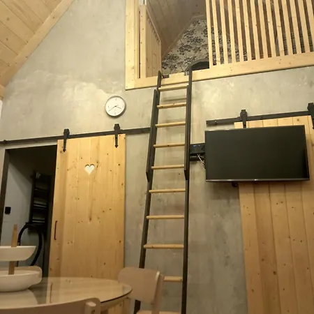 Apartament W Borze *