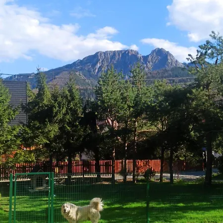 Tatil Evi W Borze