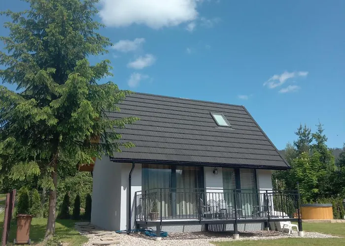 Prázdninový dům W Borze *